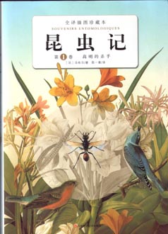 昆虫记全集全译（10册） 