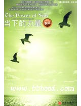 当下的力量 