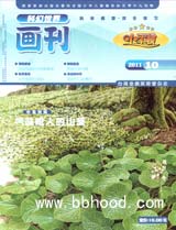 小牛顿2011年10月-气味呛人的山葵 