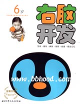 左右脑开发系列6岁2册 